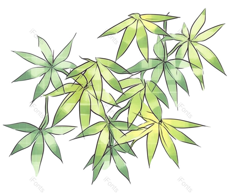 叶子图片,边框元素,纹理PNG,元素免抠素材